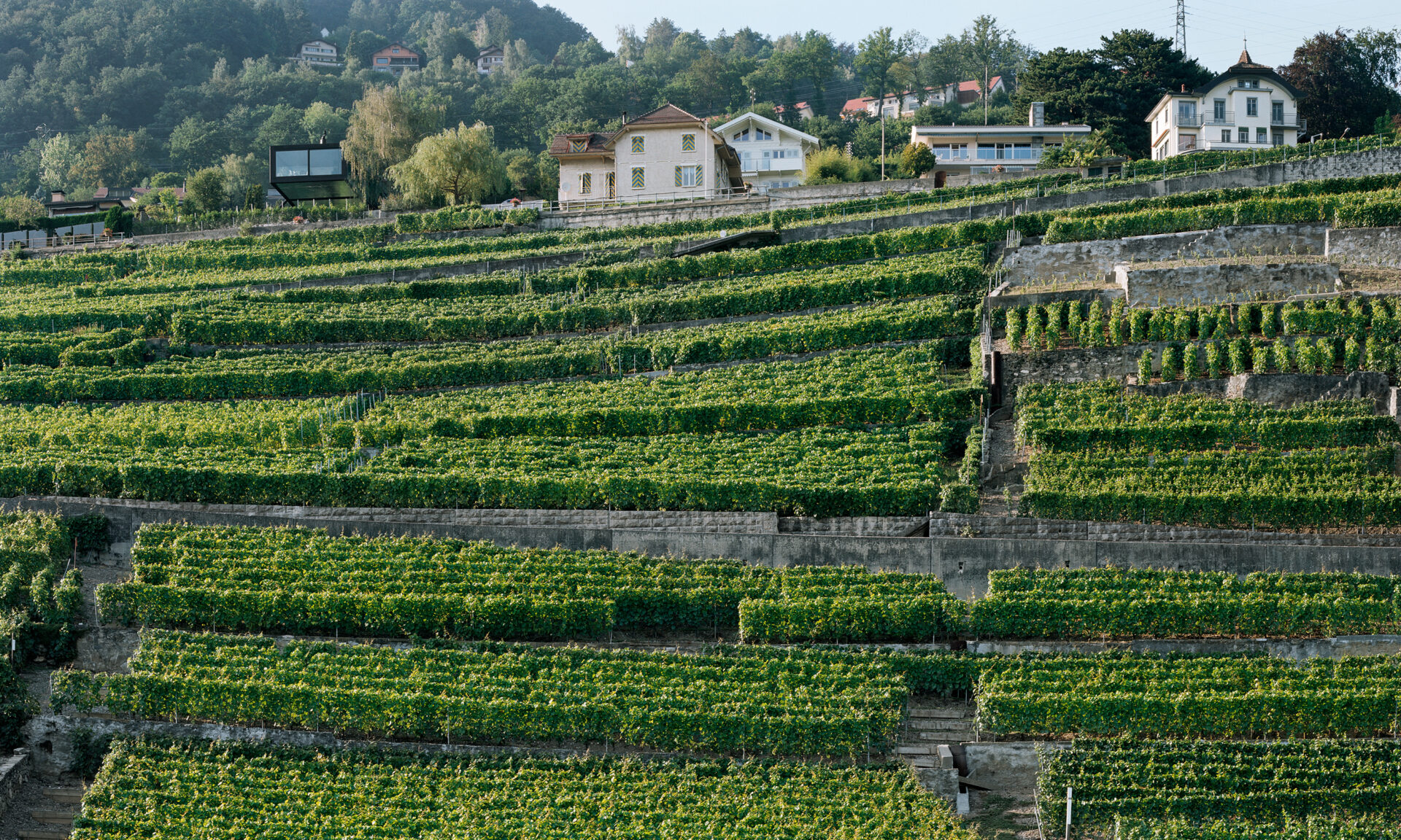 Villa Chardonne, Chardonne. Made in, 2009