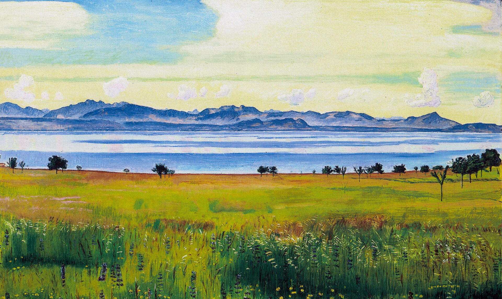 Bourdonnette, Lausanne. Made in, 2015